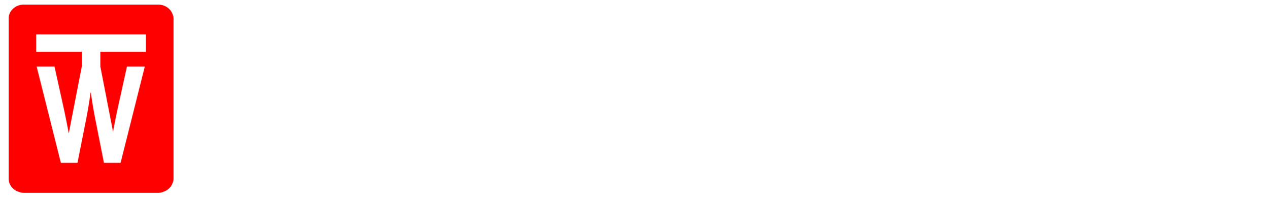 TONEWOODAMP logo